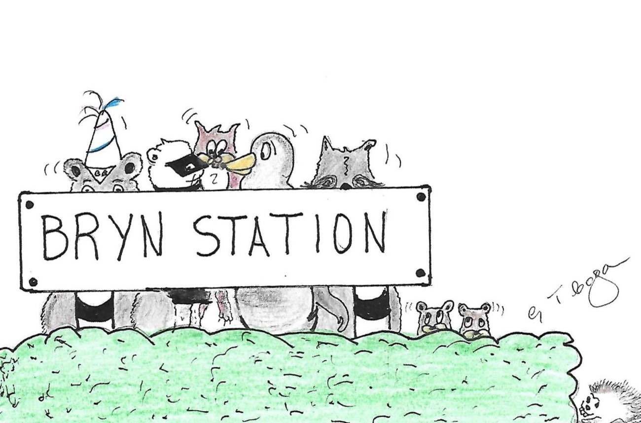 Illustration from the Izzy Beaver books, drawn by Geoff Cogan